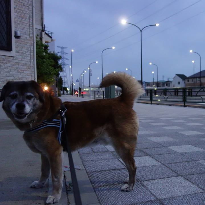 Ea02eb87 c582 45df 8341 888210b868ac 1559315155898