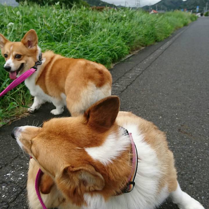 Ea031c47 b6a4 44ce 8f03 bca64fc15b42 1536042686991