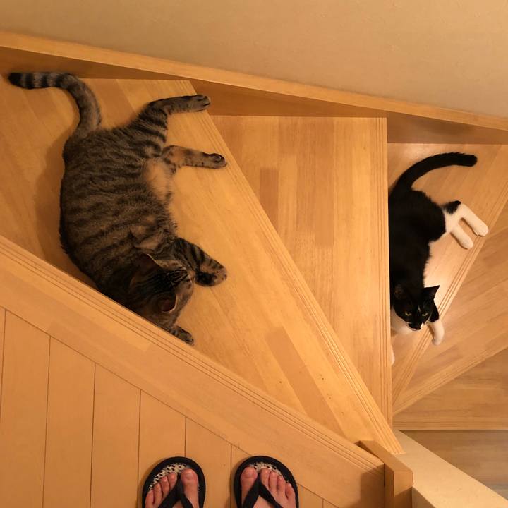 Ea03255d 6766 4df0 ae06 e0130cef448e 1535489998153