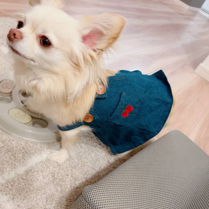 Ea033c25 3776 4c0e a667 1ad01d1f561e 1714481246698