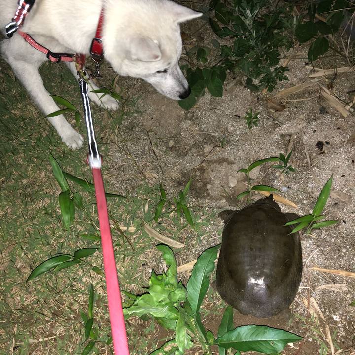 Ea034304 2704 4a7a a610 7b6c1b78678d 1529674868776