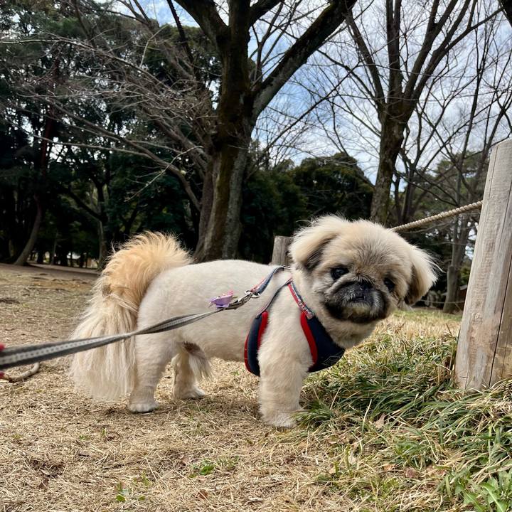 Ea034d3b 9c7c 48c0 a41d efc48e841a44 1741919016807