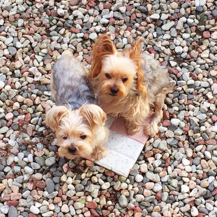 Ea03701e 2f32 4cbb 8381 2e42c3da830c 1535448550468