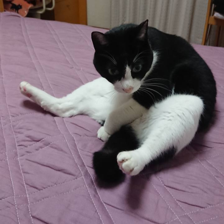 Ea037045 0d9c 4ba3 a43f 8b6f809bb552 1611968853928