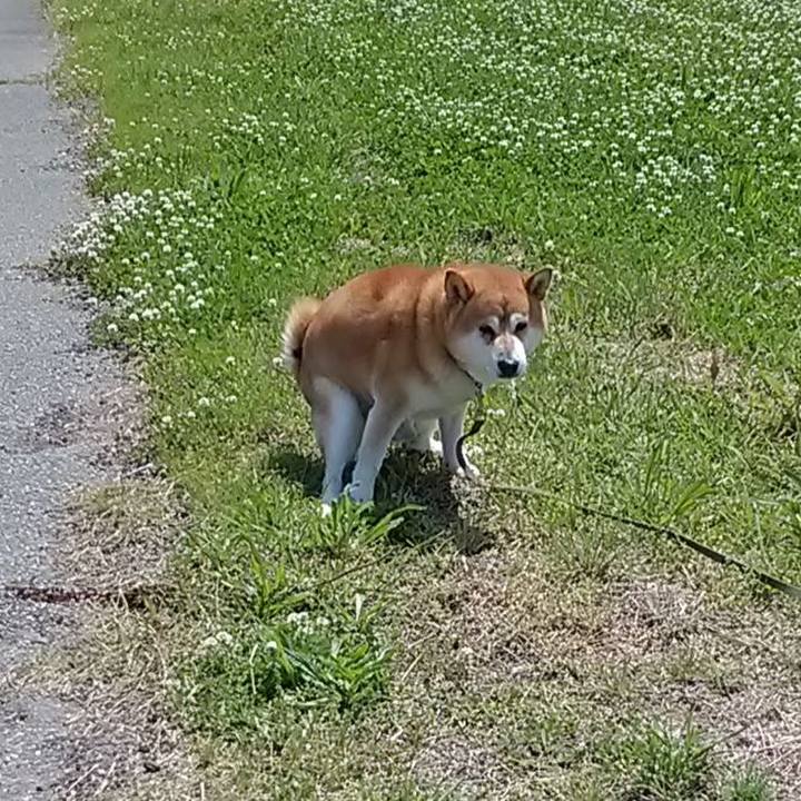 Ea039e5b 591a 4165 9458 4843de89468a 1683807309036