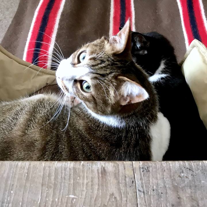 Ea03acba 2567 4d53 b83f 94fabd001929 1552457598094