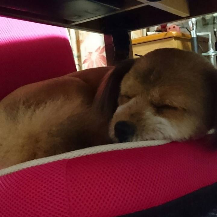 Ea03c00d a3cd 43de a2fa 967a590a87c4 1537268637296