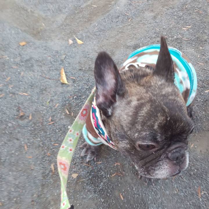 Ea03edab b28e 4810 b4f7 aad33173066f 1675781466038