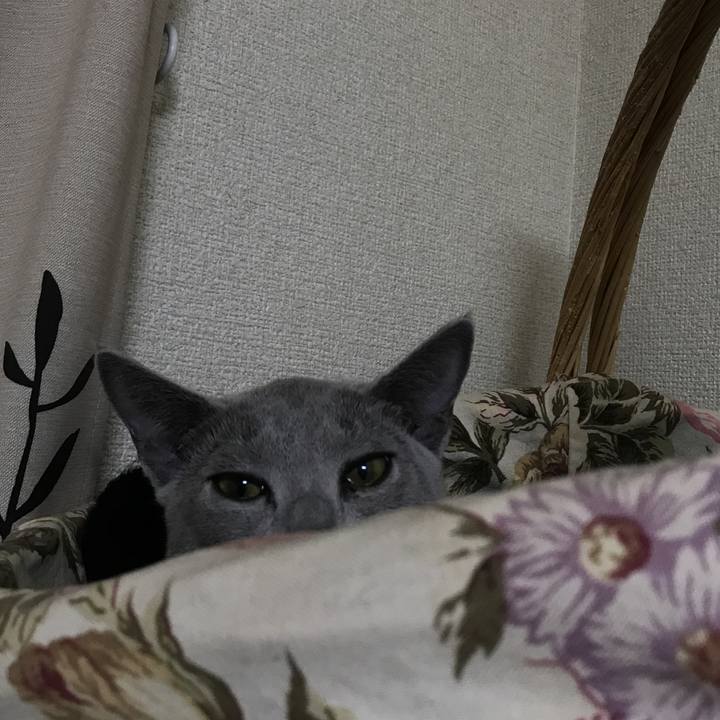 Ea0451d9 4272 40cb 8c21 dd4e20ff9a6d 1509547066120