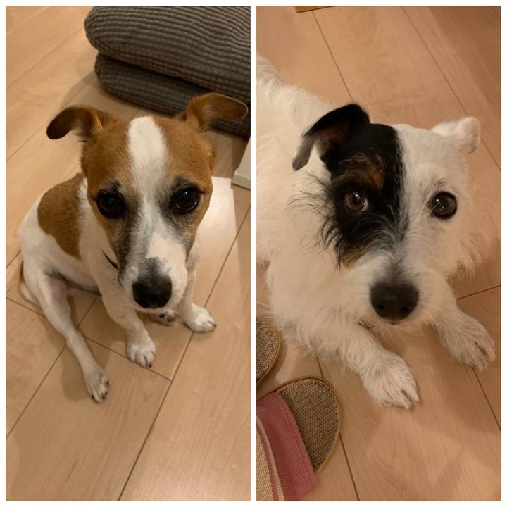 Ea048085 d9fd 45df bfb6 da42b25cd222 1566468730596