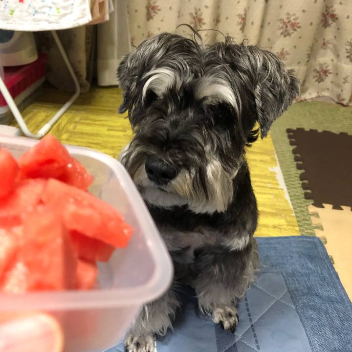 Ea049e01 247d 42fc a1e0 d8e742fb2e20 1690465468299