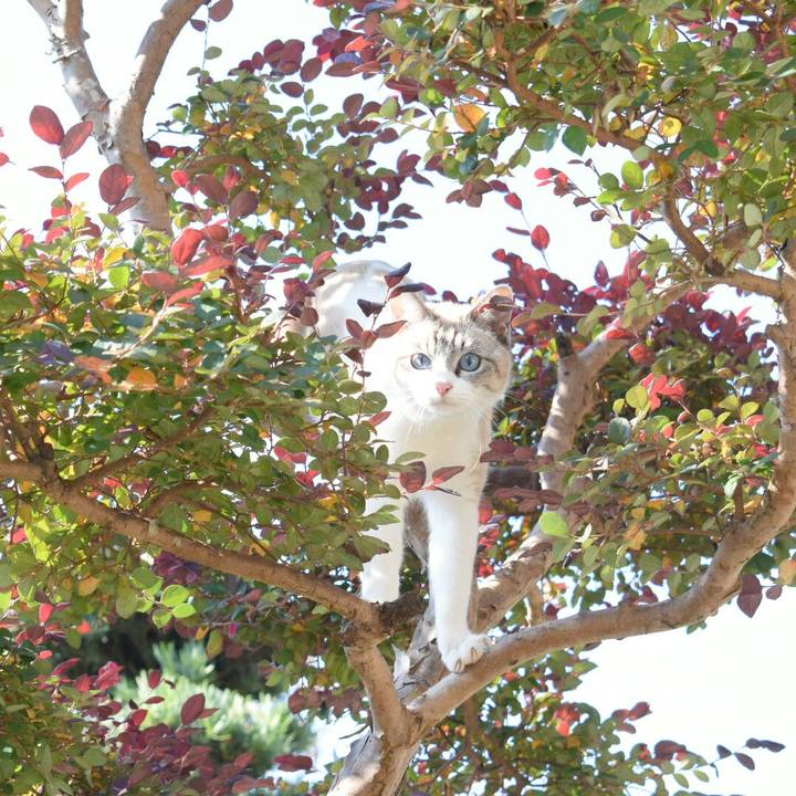 Ea04e3fb 5635 4d6e ab3a ab6e93f7dd0e 1509504903149