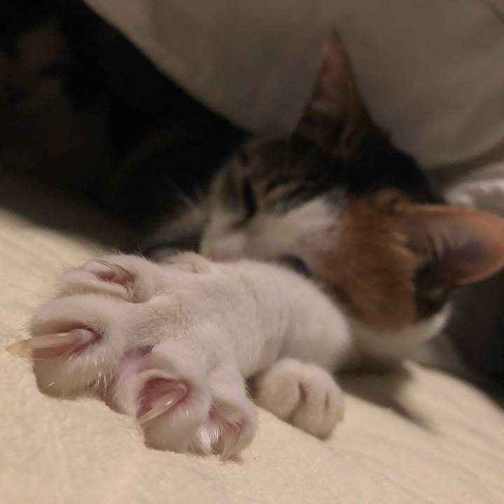 Ea04e959 e500 4ab4 9e98 385235209f5c 1581678929736