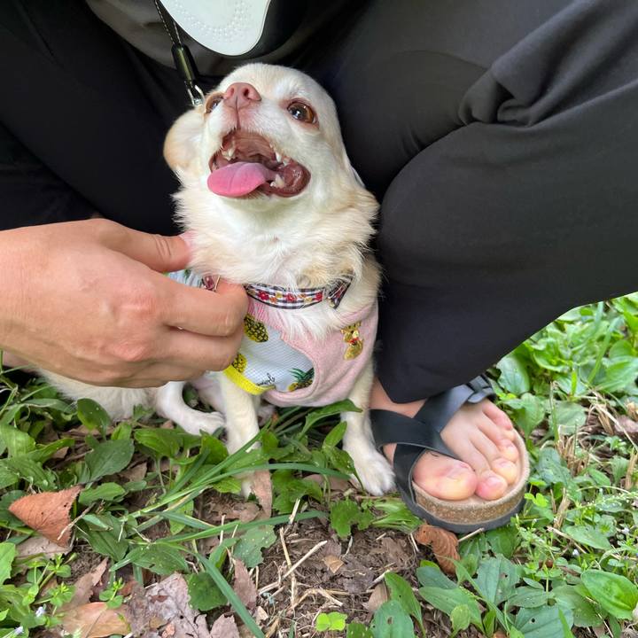 Ea04f208 485a 4420 a876 4ec5dd2dd17e 1726402066512