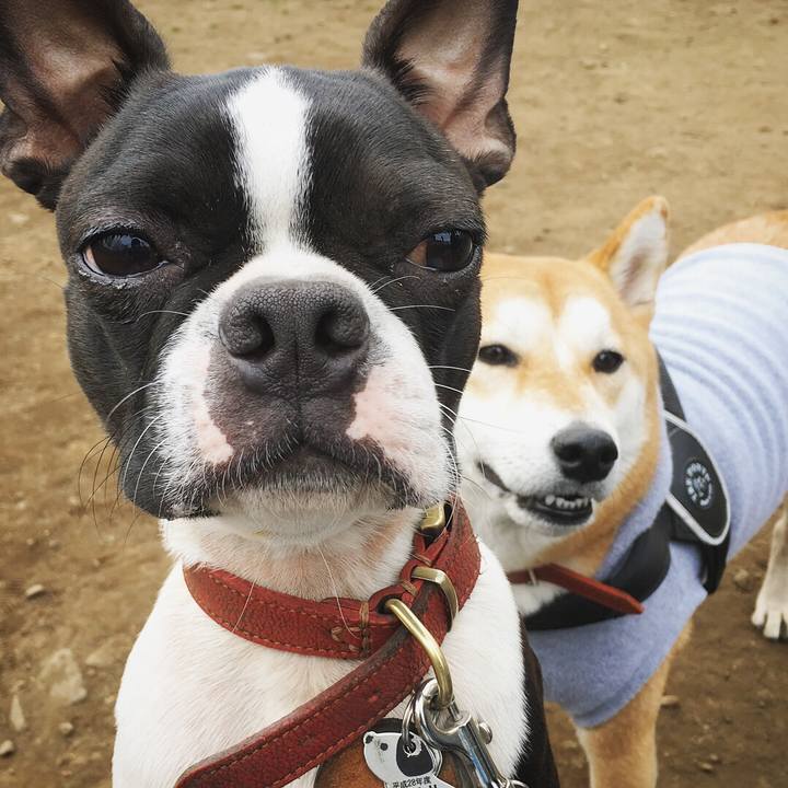 Ea04f24c c91d 44a5 985f 23fcef8cc173 1519824972360