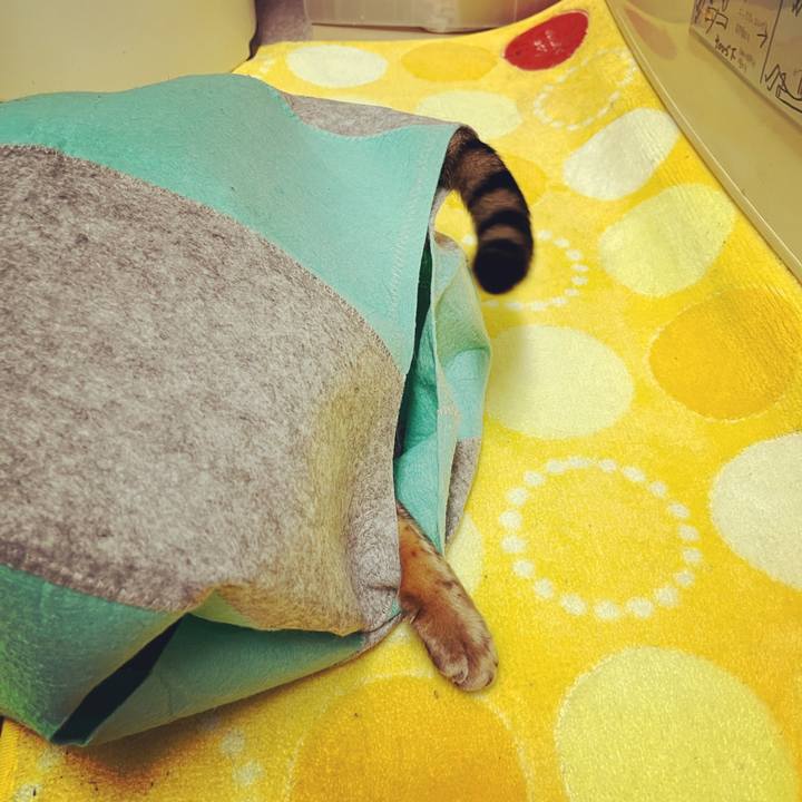 Ea04f66d f52e 423f 908e 44b88f18cb51 1653001824543