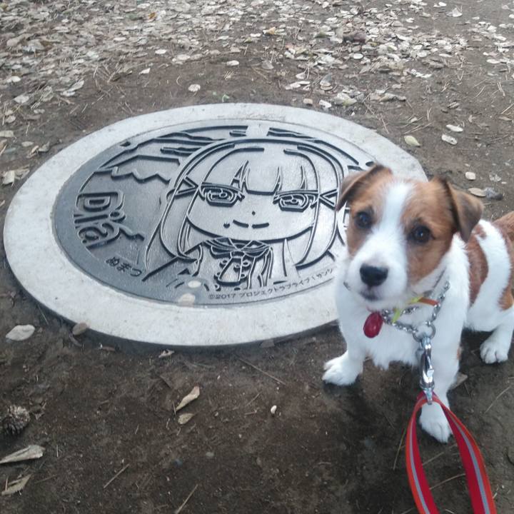 Ea0500fd 3f68 4448 a804 72fa6a47b9c8 1541490647370