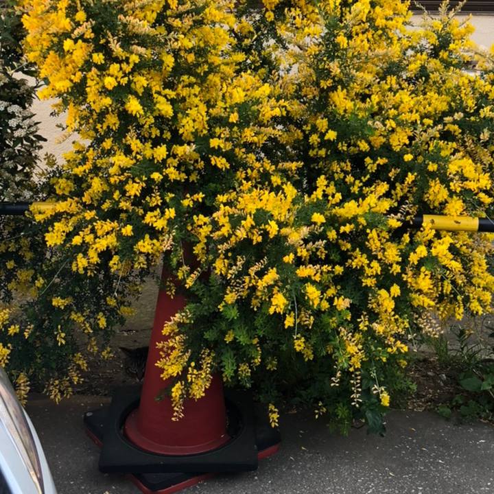 Ea05043e 1a3c 444c b107 43a8459ccb8e 1558180995203