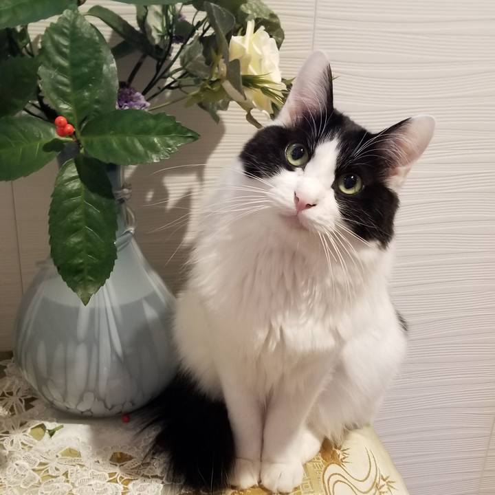 Ea0525ae 4486 4a5a 81de 9327da0f1dcb 1547625677320