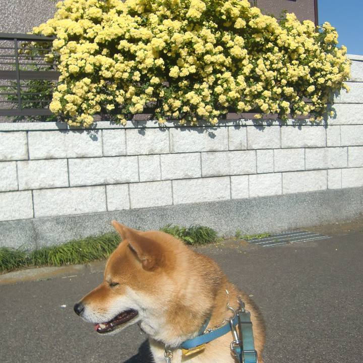 Ea05587f 13d5 4193 b48e 58bc1ede5431 1557014314380