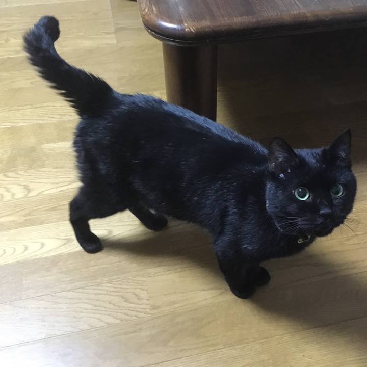 Ea059a4e 9ad6 4f73 835e b3769eb39941 1534420495985