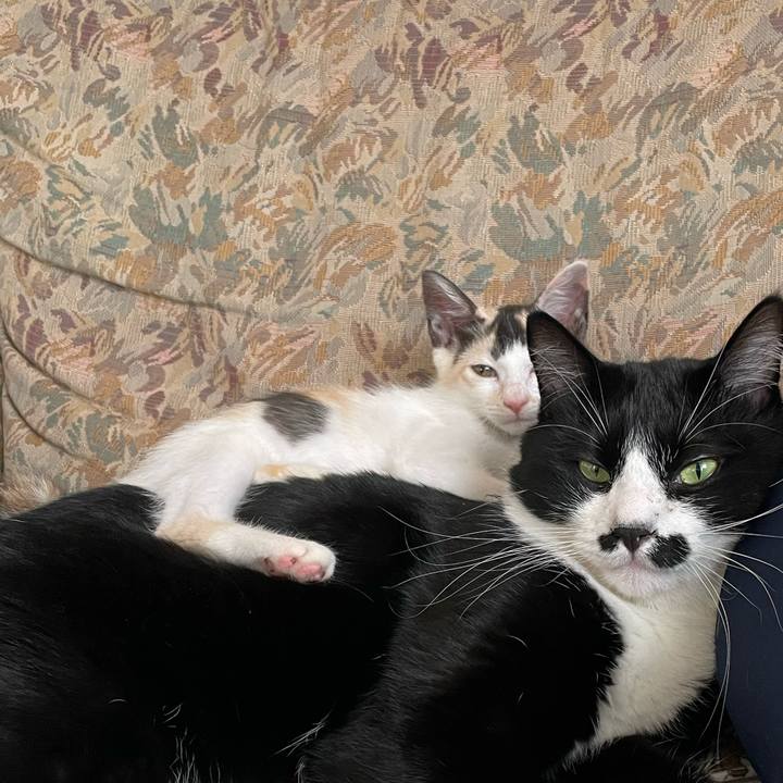 Ea059a9f ebf3 40aa b5d3 2da5057a6227 1658532915169