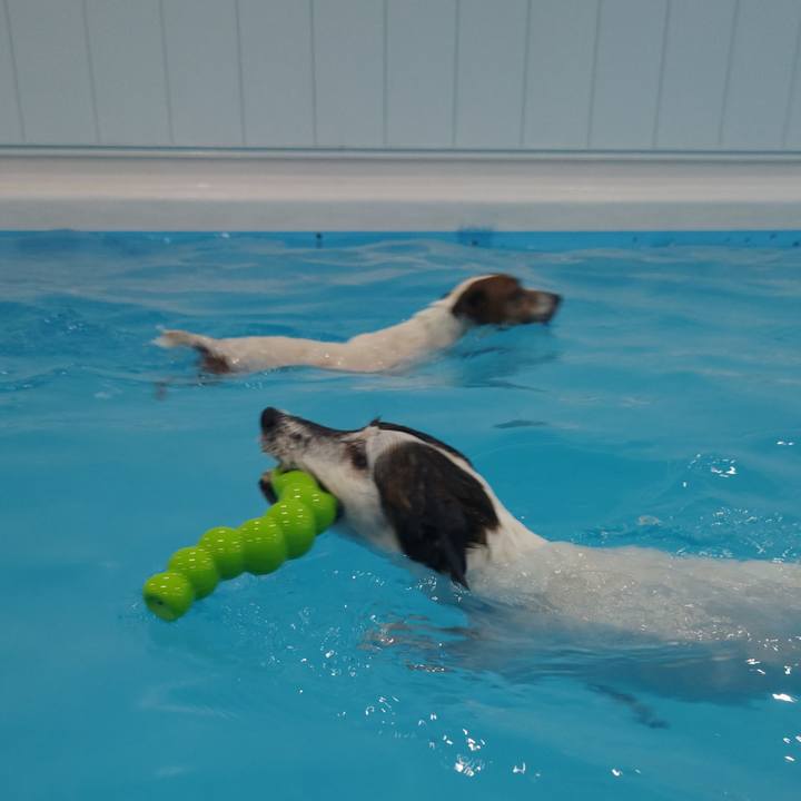 Ea05a548 6bfb 4d5f ad3f 8dc6ee5e4a83 1748083959948