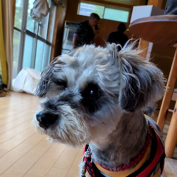 Ea05c610 b03f 4cb3 b614 f18c565915b3 1749534005425