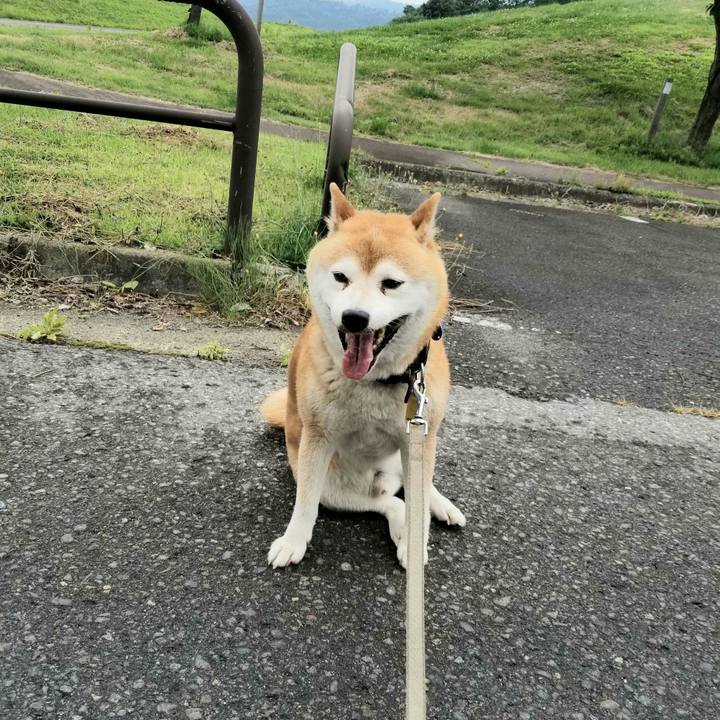 Ea05d28b ba2c 44ca b2bd dd529f540ab5 1624778920870