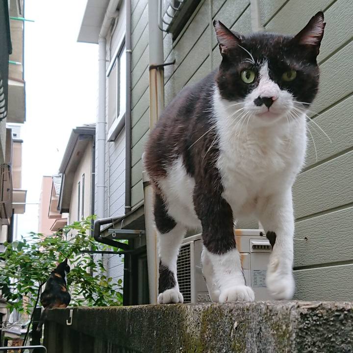 Ea060109 e8f9 4944 9ef1 5b18d2e2eea6 1566519426317