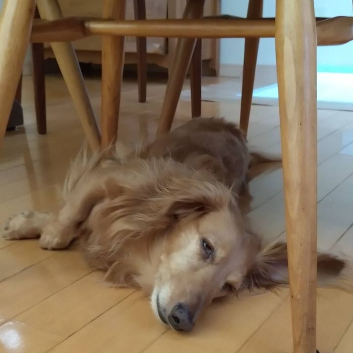 Ea0681a5 57d4 4116 9d24 911b2d7f36f2 1690453328017