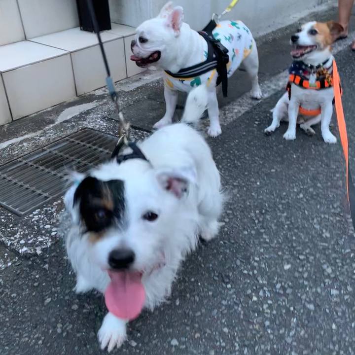 Ea068448 57fb 466a 8f27 b172d12c761a 1597573176108