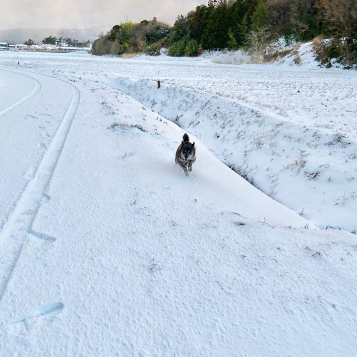 Ea069ae8 16d8 4ab0 a806 a666b04af43d 1640564744215