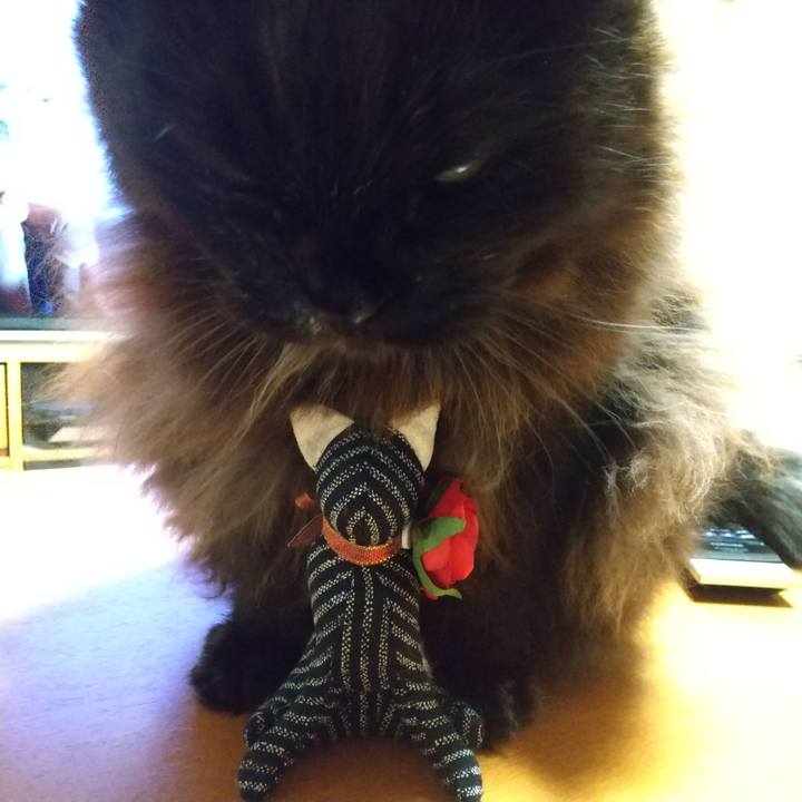 Ea06d38d 2403 4ef6 891d 8fb7a13deb01 1673524309683