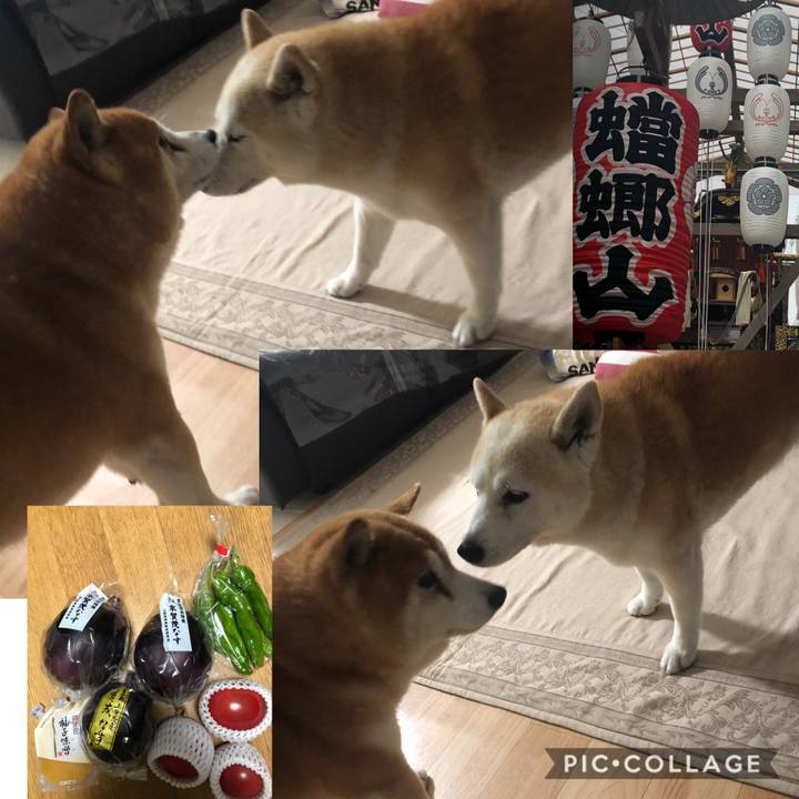 Ea06d3bc efdb 4ef7 838d 83a60cfac4c2 1563198919092