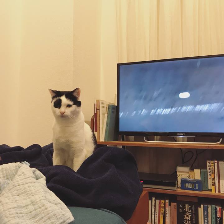 Ea06d575 ac49 49c1 92e1 646904cfc1a1 1554817365505