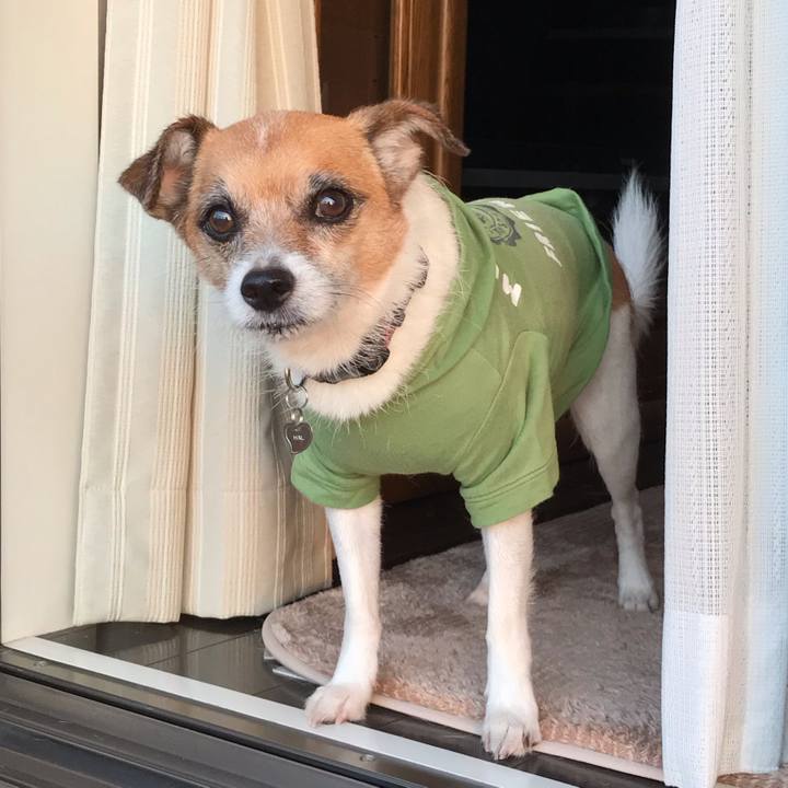 Ea06ea09 4f92 4e6c 9ccc 0d4c0be89ec5 1540424712838