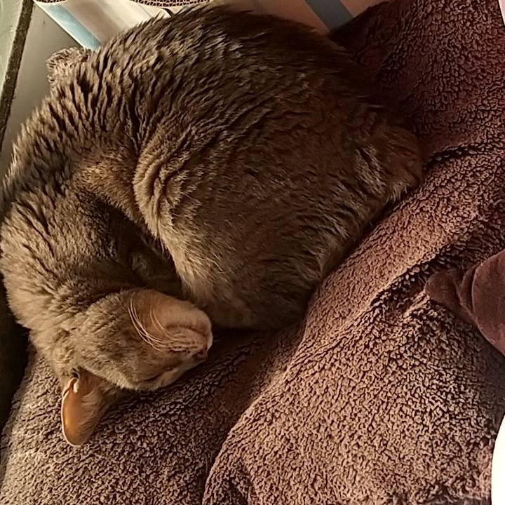 Ea06f6a7 90ec 444b bcfe 521d3861d778 1673051337820