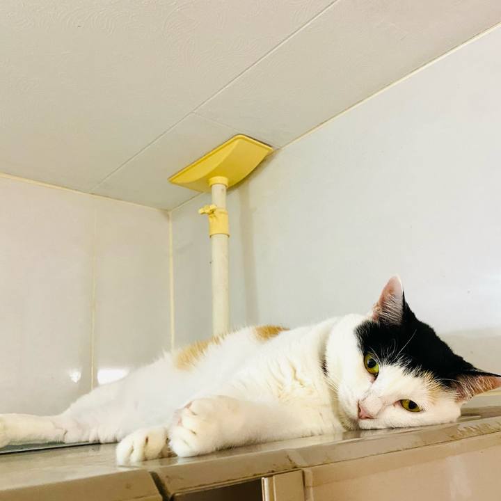 Ea07122e e6f2 4b4d 89a5 33ec3e9b396b 1689196256633