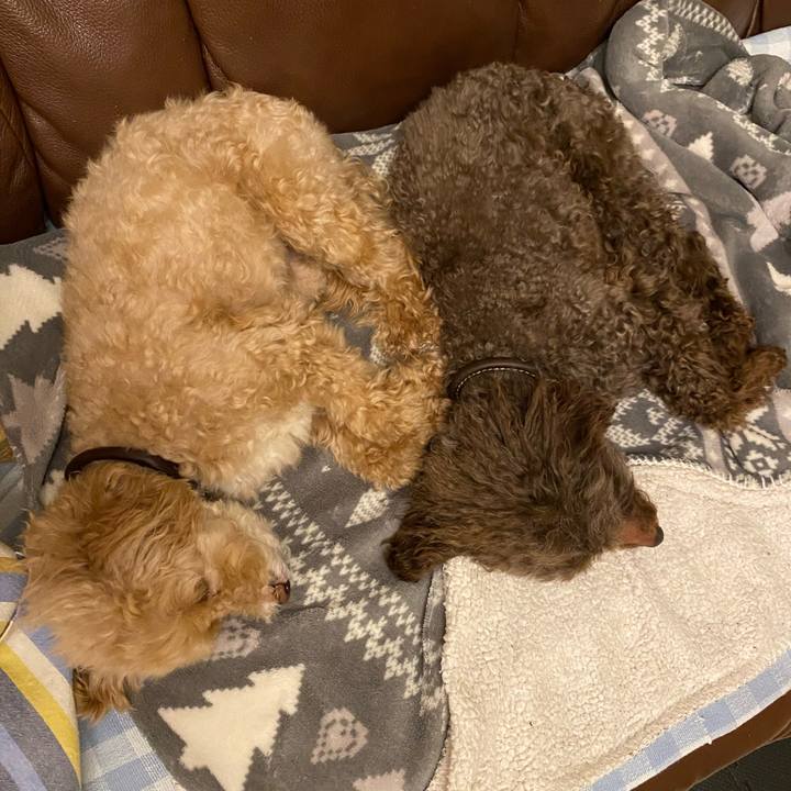 Ea0748d0 e75a 4267 9758 7b22a74f8ca1 1645567484065