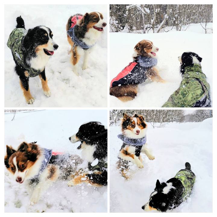 Ea077ea7 3476 4899 b28f 197569115974 1767438703004