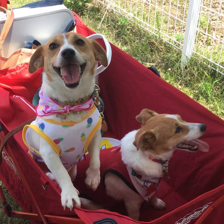 Ea078283 ccb2 40c9 b24f d7f26f520692 1558856969763