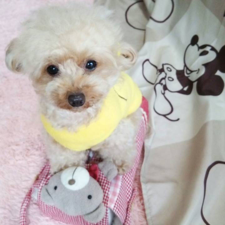 Ea07b008 5d71 401d 9c6b ef6be8d72ca5 1540294049294