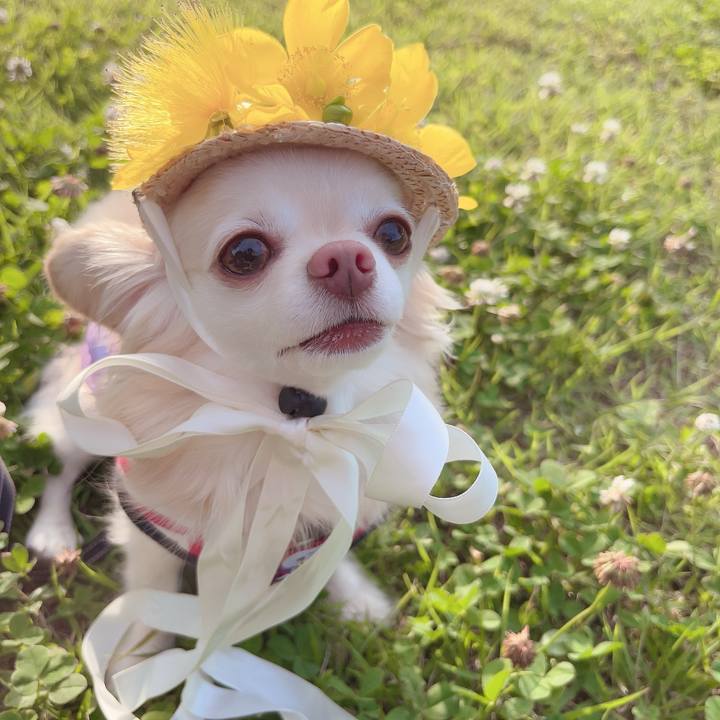 Ea07da15 ef07 46e9 8627 8553c5eee54a 1718530185972