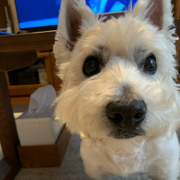 Ea07e045 cd3b 4ac3 bc08 e8636006a669 1655354849365