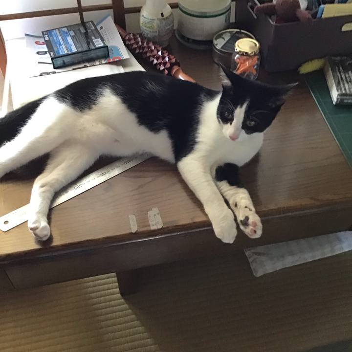 Ea07e652 4160 4dd1 a5a8 a93b6444a3ac 1634030162292