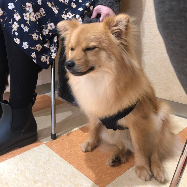 Ea07f221 6d00 44d9 bd3e 118ec05dd0d0 1615601287849