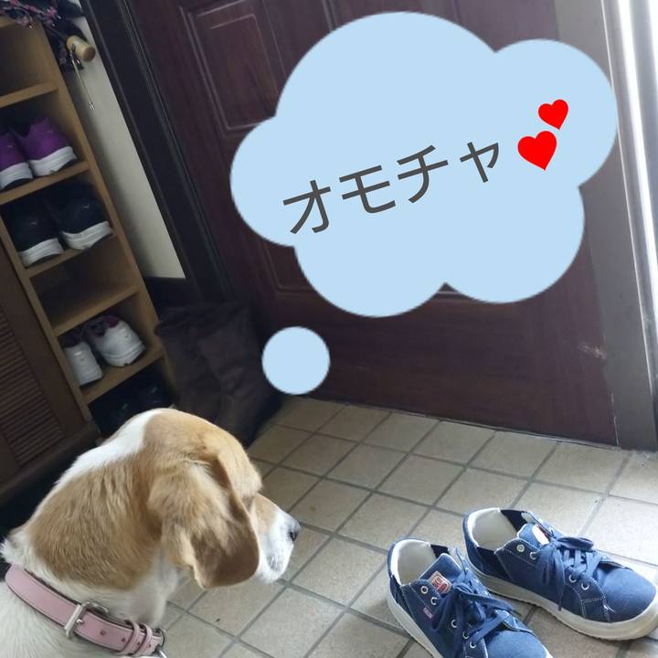 Ea07f794 31b5 49ff b7ef 7c27a68e7622 1588314226597