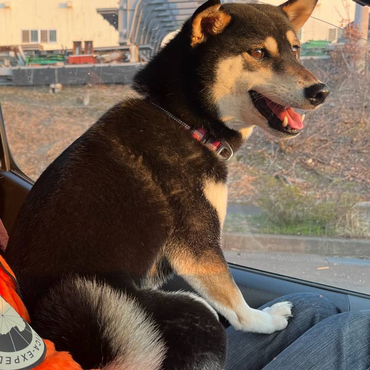 Ea07fe55 cda9 4756 b86e 30ab0b134a88 1649041607509