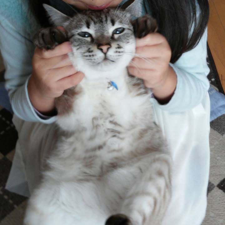 Ea0802c2 3981 468b 945d cec987d56863 1515159477740